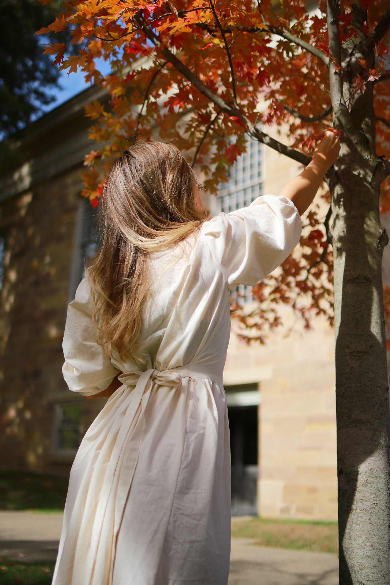 Ariel Dress in Ivory Cloud