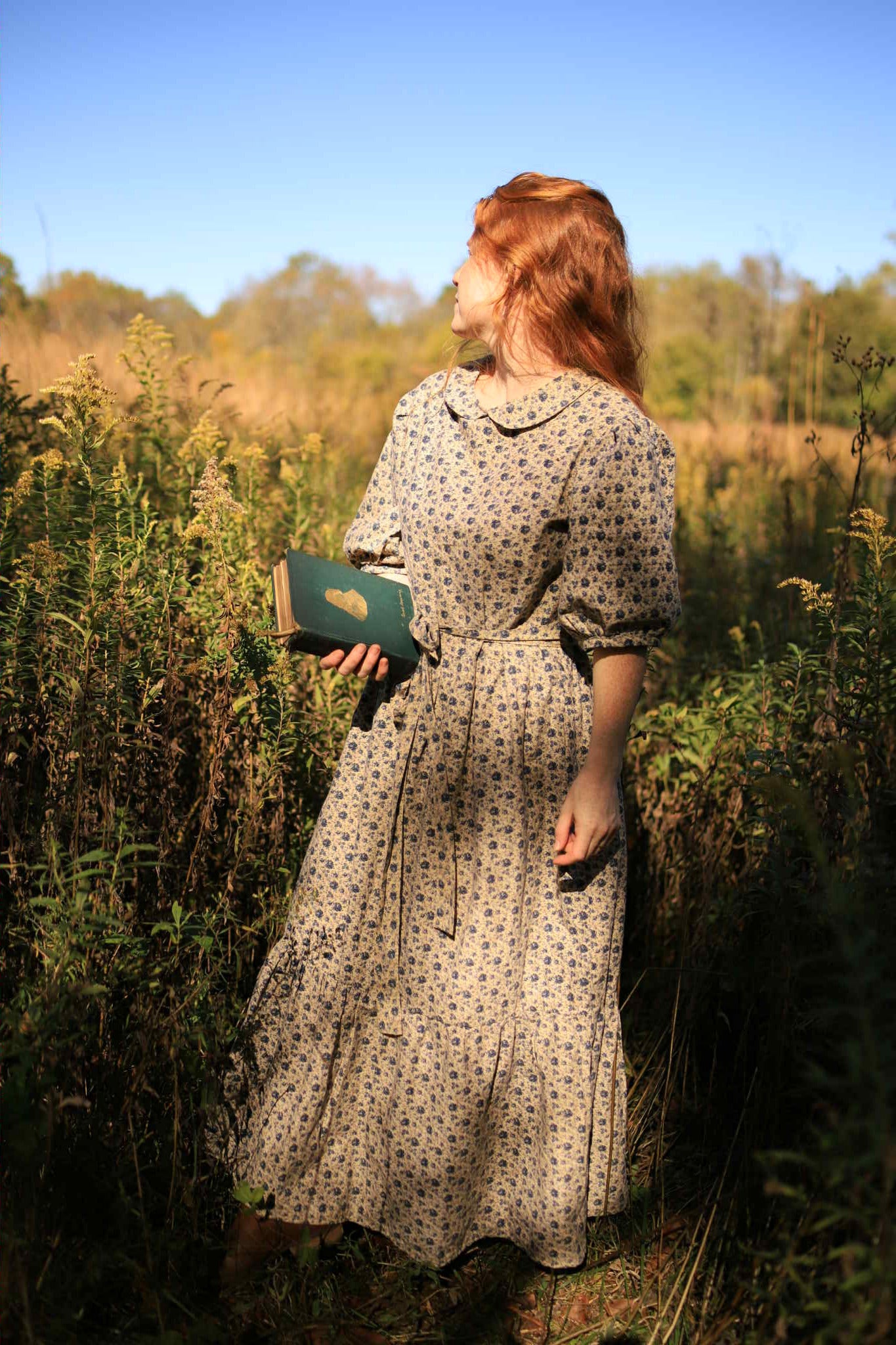 Ariel Dress in Antique Rose