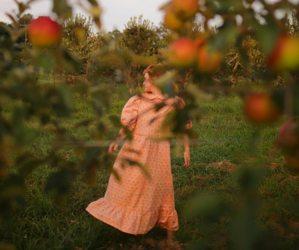 Ariela Dress in Butter and Crimson