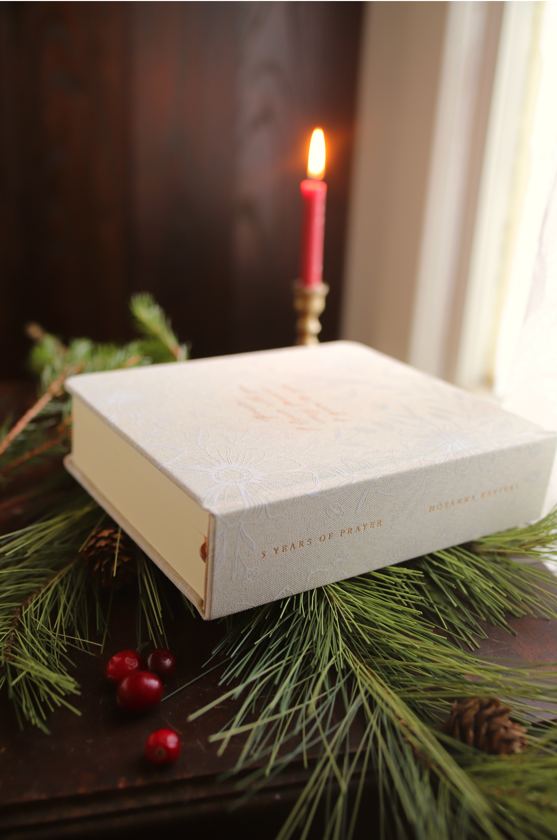 "One Thing I Ask" 5 Year Prayer Journal, Lace & Linen